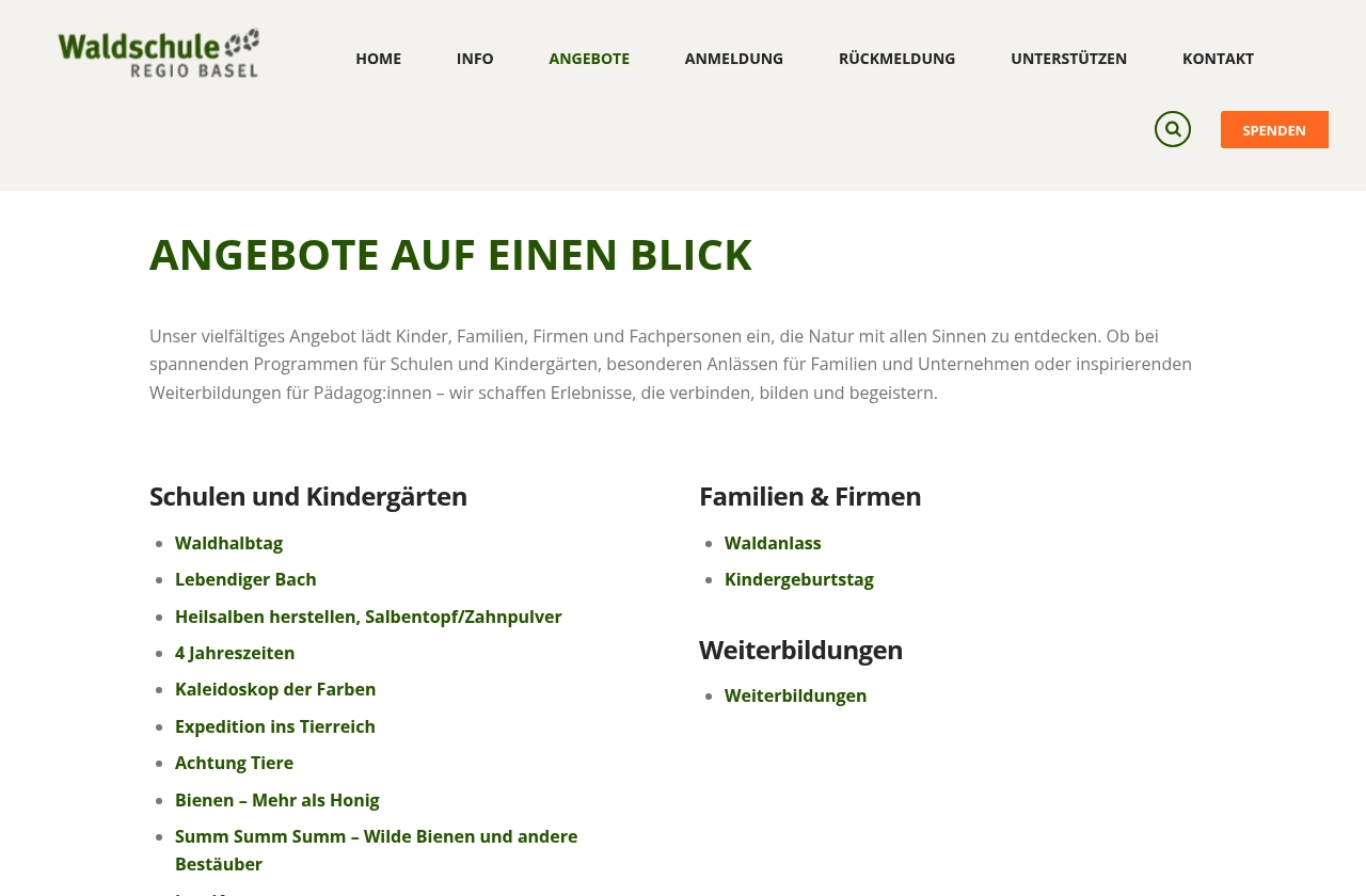 Waldschule Regio Basel