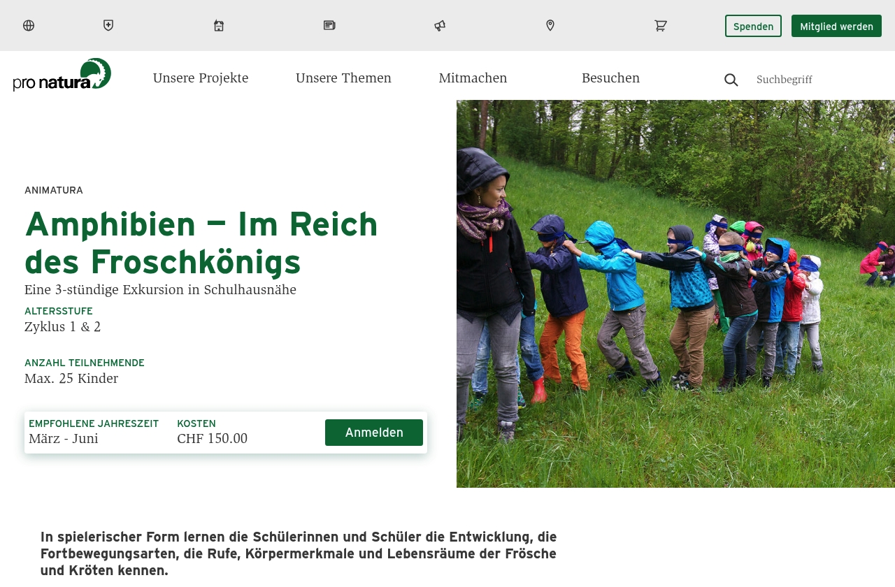 Amphibien – Im Reich des Froschkönigs