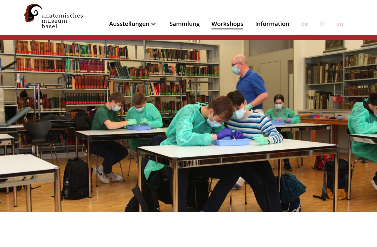 Anatomisches Museum Basel
