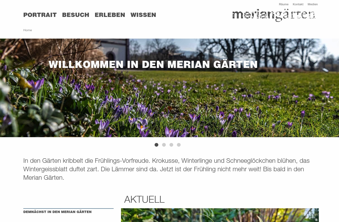 Merian Gärten – Mühlemuseum