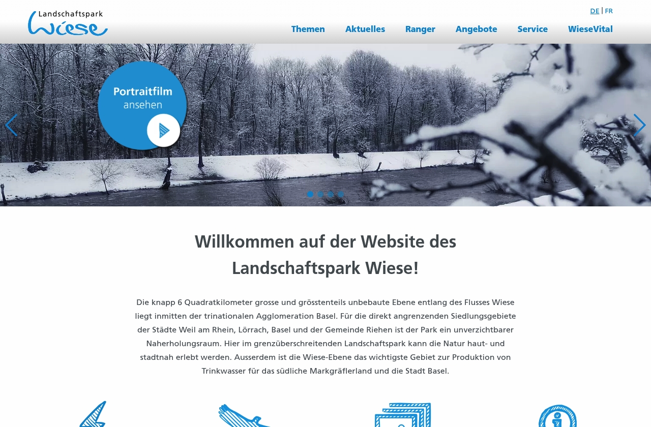 Landschaftspark Wiese